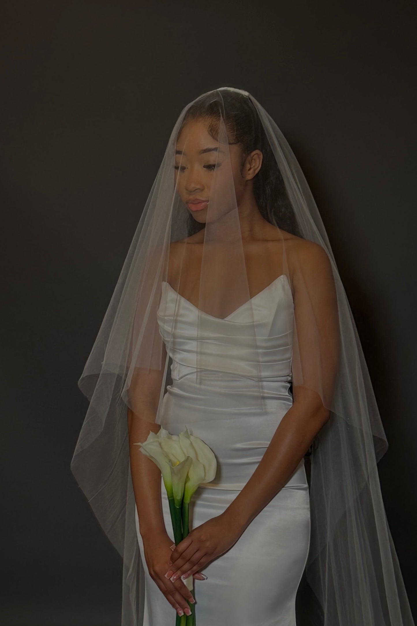Audrey Veil
