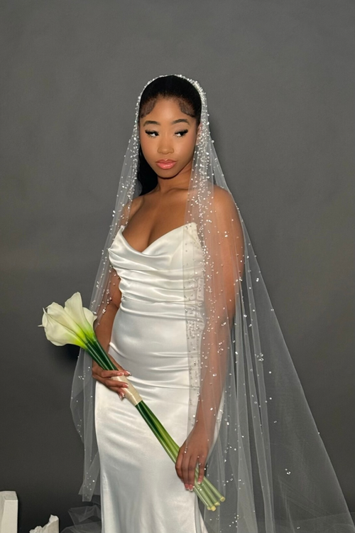 white veil with ivory dress Cathedral Mantilla Lace Edge or Bridal Veil Style 1 with Comb or further back. Pay close attention to whether