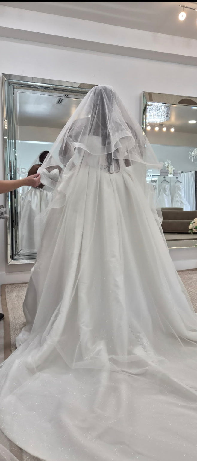 Mickella's Custom Veil (Deposit)